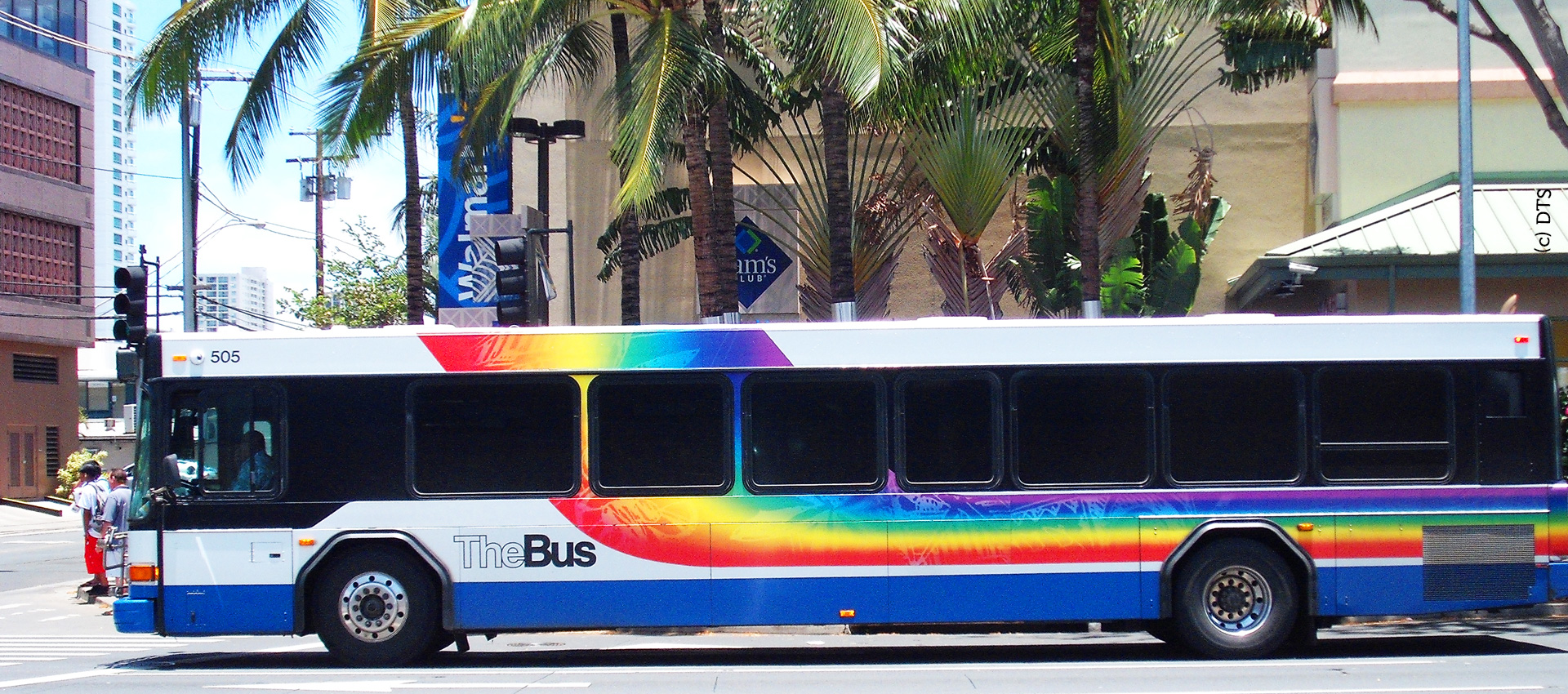 The Bus in Honululu